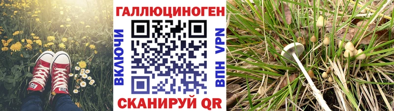 Псилоцибиновые грибы GOLDEN TEACHER  дарнет шоп  Тольятти 